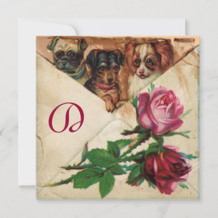 INVITATION TROIS DOGGIES AVEC ROSES