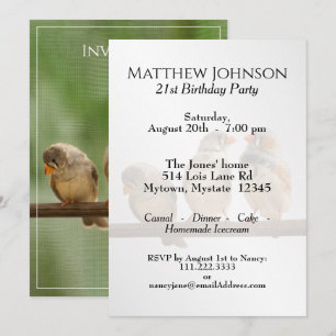 Invitation Trois photos d'oiseaux d'animaux sur Twitter