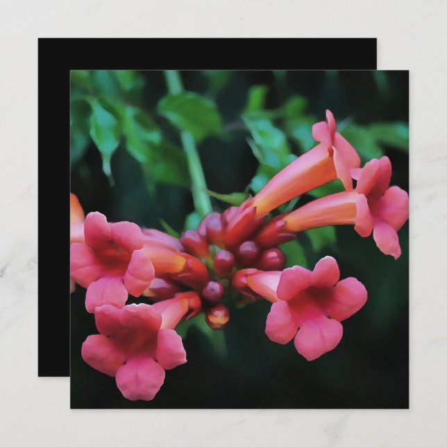 Invitation Trompette rose Honeysuckie Art botanique (Devant / Derrière)