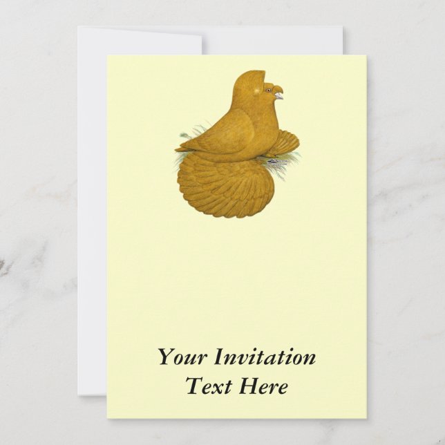 Invitation Trumpeter Pigeon Jaune (Devant)