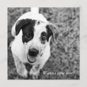 Invitation Tu veux venir ?