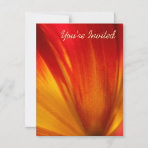 Invitation Tulip