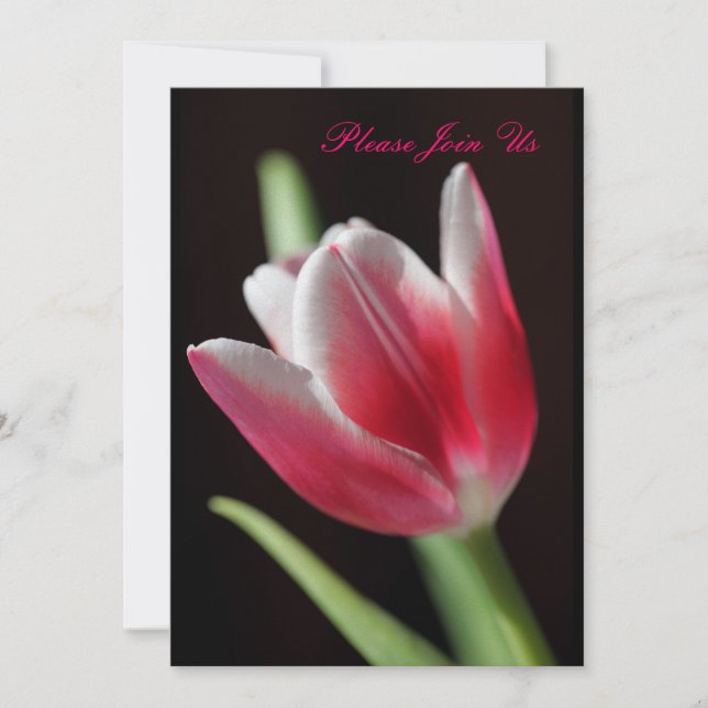 Invitation Tulip (Devant)