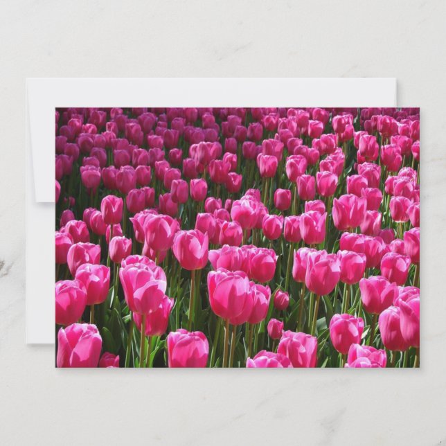 Invitation Tulipes roses (Devant)