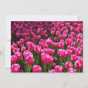 Invitation Tulipes roses