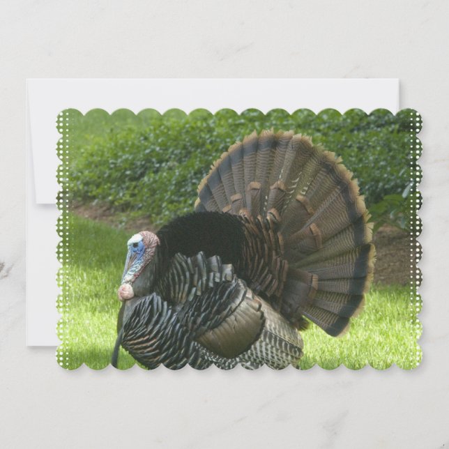 Invitation turkey-1.jpg (Devant)