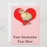 Turquie Coeur de coquille