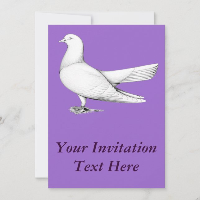 Invitation Type de vol Oriental Roller Pigeon (Devant)