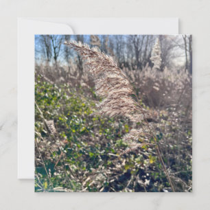 Invitation Un bonheur d'automne...