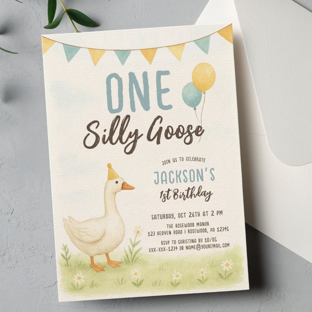 Invitation Un Garçon Silly Goose Premier anniversaire (Créateur téléchargé)