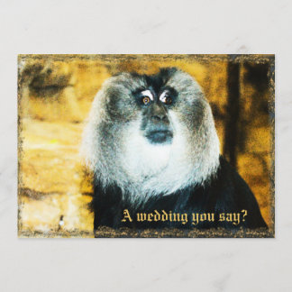 Invitation Un singe amusant Zoo de photos de mariage Invitati