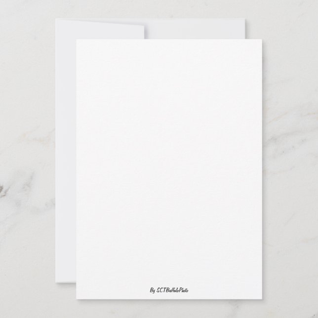 Invitation Un spectacle éblouissant (Dos)