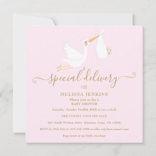 Invitation Une Baby Shower / Sprinkle de cigogne de livraison