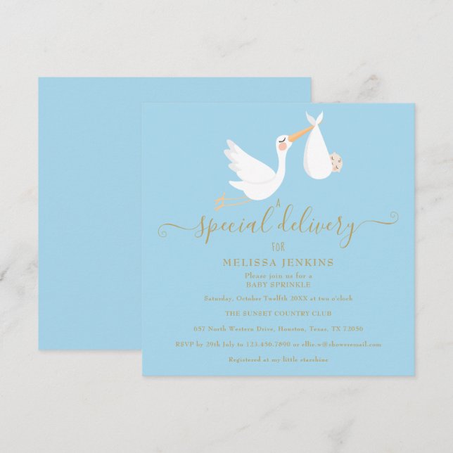 Invitation Une Fête de Bébé Stork Livraison Spéciale / Shower (Devant / Derrière)