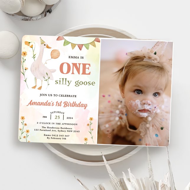 Invitation Une oie sotte 1ère fête d'anniversaire Photo (Créateur téléchargé)