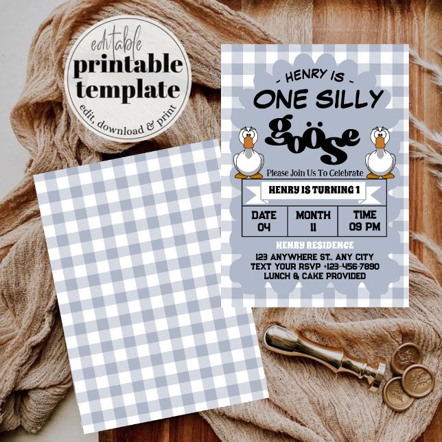 Invitation Une oie sotte drôle mignonne garçon 1er fête d'ann (Créateur téléchargé)