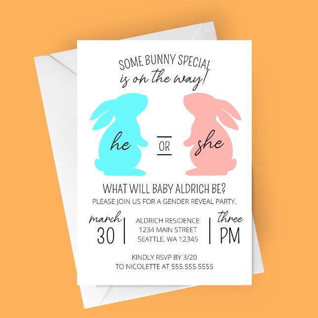 Invitation Une Partie Spéciale De Révélation De Genre De Bunn (Bunny on the Way Modern Gender Reveal Party Invitation with Blue and Pink Bunnies)