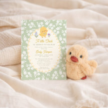 Une petite poussin est sur le point d'éclore Baby 