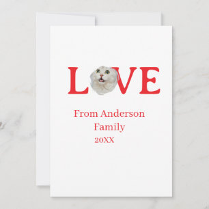 Invitation Vacances d'amour photo de chat animal de compagnie