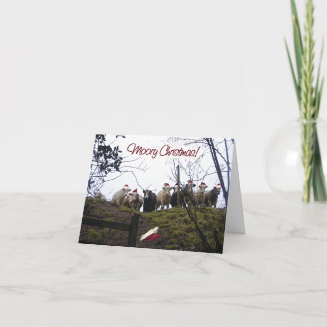 Invitation Vaches dans l'invitation de fête de Noël de (Devant)