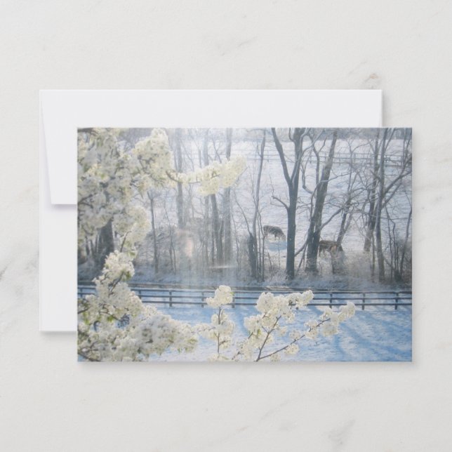 Invitation Vaches dans un champ en hiver (Devant)