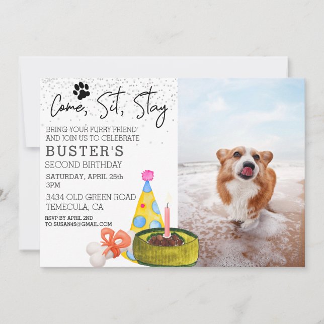 Invitation Venez Sit Rester Chien Anniversaire Photo Party (Devant)