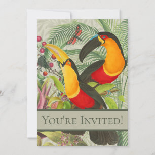 Invitation Vibrant Tropical Toucan Birds Art Exotic Jungle