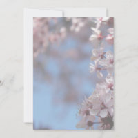 invitation vierge, arbre de floraison de cerisier