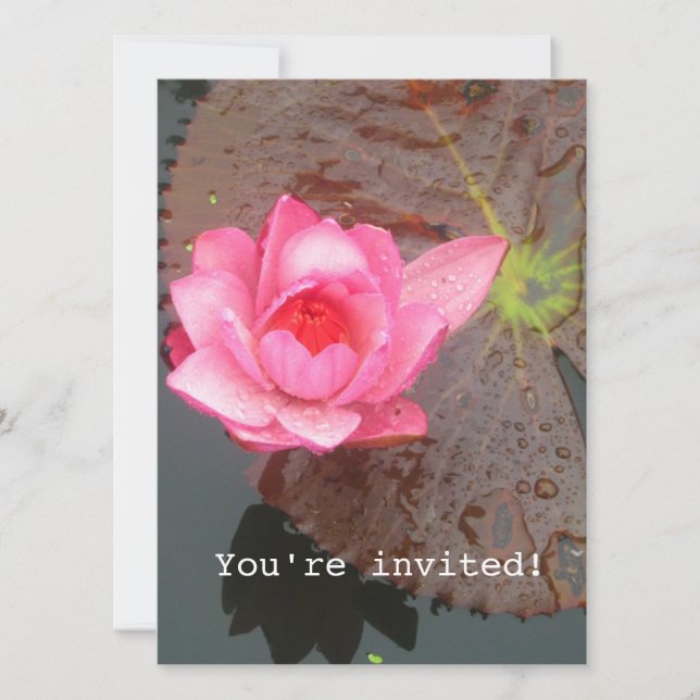 invitation vierge de fleur de nénuphar rose (Devant)