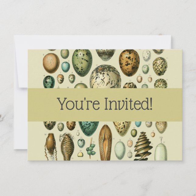 Invitation Vintage Bird Eggs French Fish Egg (Devant)