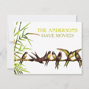 Invitation Vintage Birds Nouvelle adresse + Fête du réchauffe