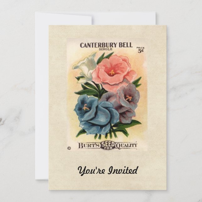 Invitation Vintage Canterbury Bells Flower Seed Packet (Devant)