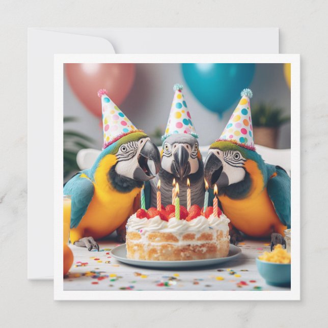 Invitation Vite ! Anniversaire de perroquets, anniversaire d' (Devant)