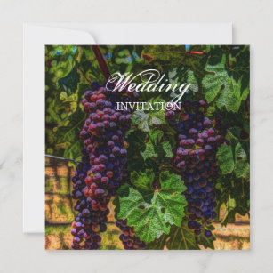 Invitation viticulture romantique violet raisins vigne mariag