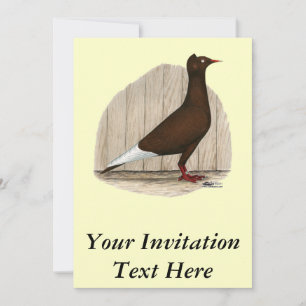 Invitation Vol Casquette rouge Pigeon