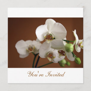 Invitation Vous êtes invité