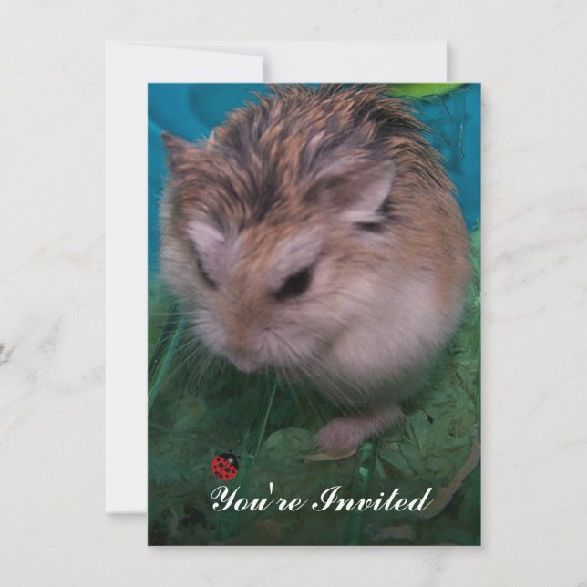 Invitation Vous êtes invité (Devant)