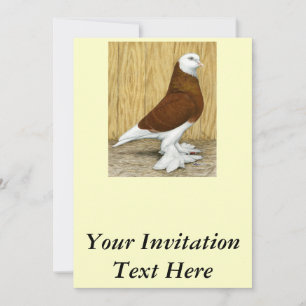 Invitation West of England Tumbler Red Baldhead