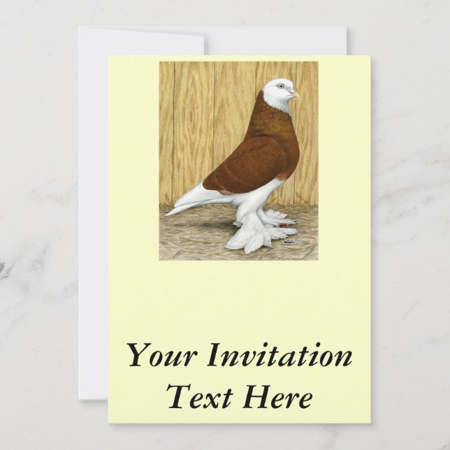 Invitation West of England Tumbler Red Baldhead (Devant)