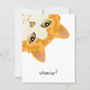 Invitation Whas up Orange Upside Down Cat