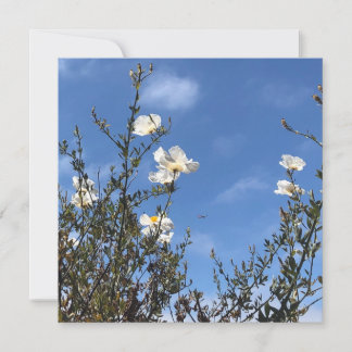 Invitation White Poppies Against the Sky Greeting Card