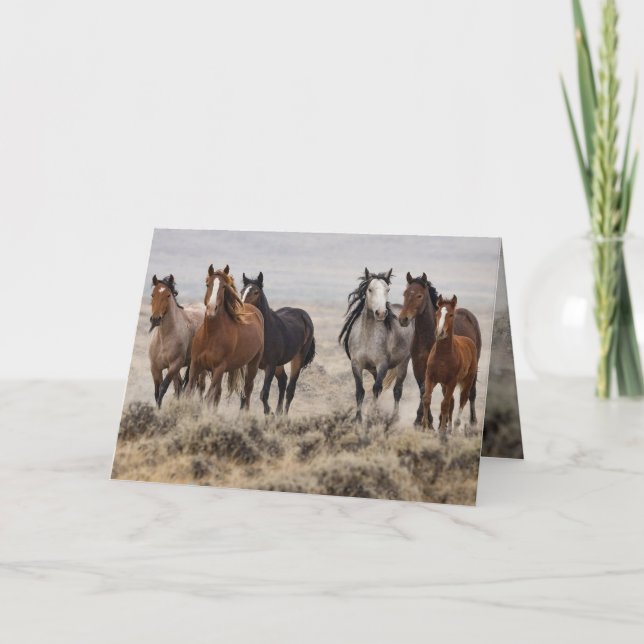 Invitation "Wild Mares and Foal on the Move" (Devant)