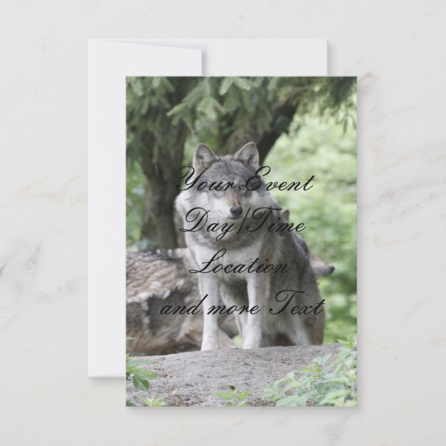 Invitation Wolf 14AJ (Devant)