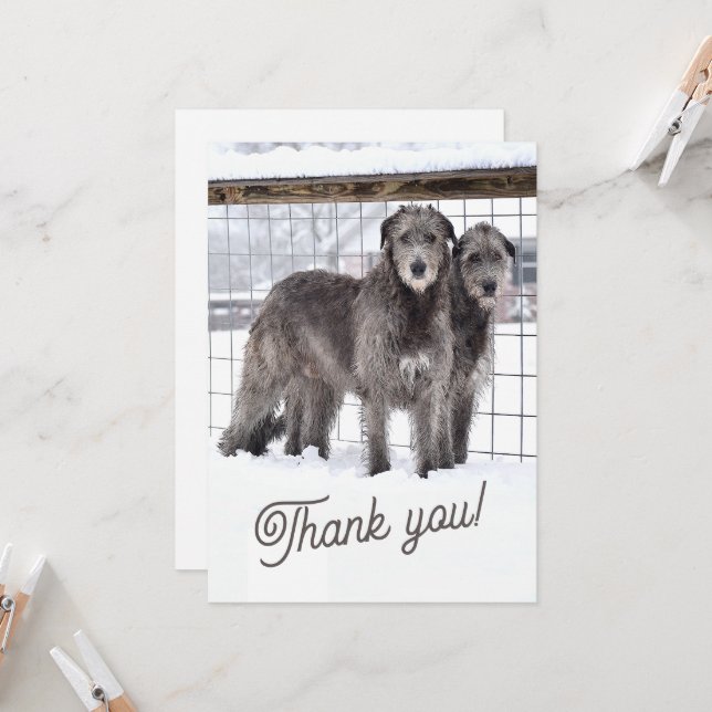 Invitation Wolfhounds irlandais en neige (Devant/Arrière en situation)