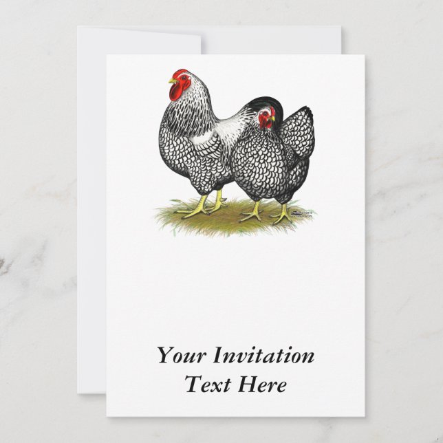 Invitation Wyandotte : Paire d'argent (Devant)