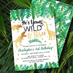 Invitation Young Wild & Three Dinosaur Boys 3e anniversaire
