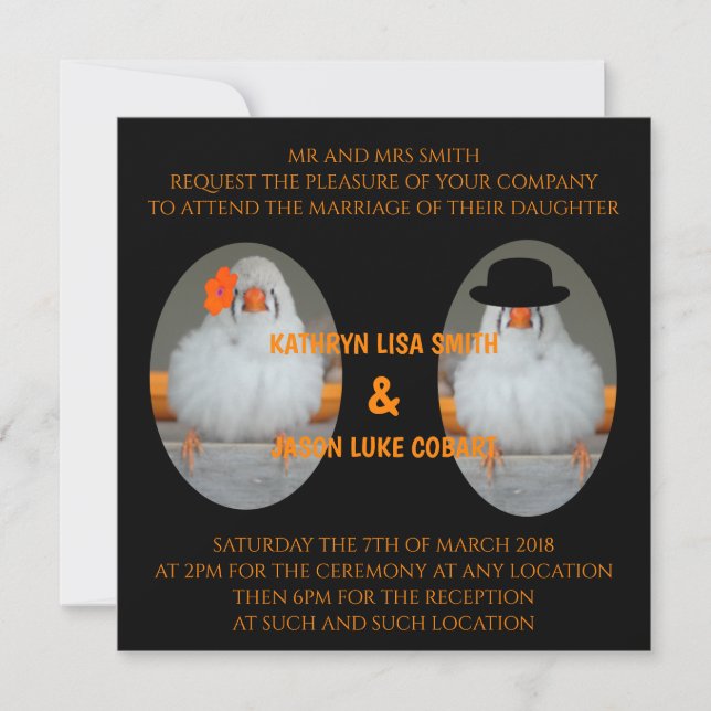 Invitation Zebra Finch avec Mariage de soumission de mariage (Devant)