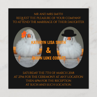 Invitation Zebra Finch avec Mariage de soumission de mariage
