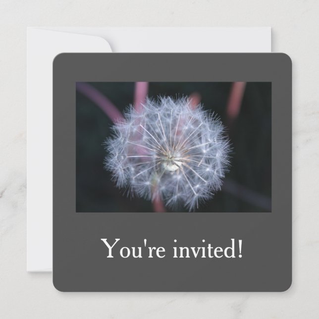 invitations à la fête d'anniversaire de pissenlit  (Devant)