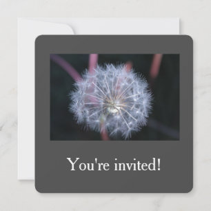 invitations à la fête d'anniversaire de pissenlit 